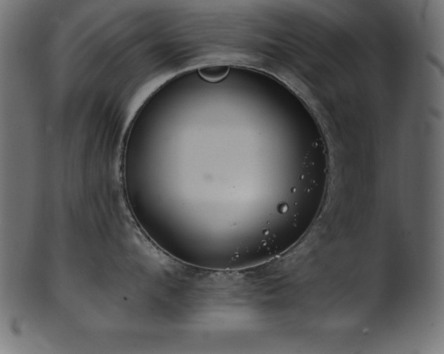 X0000102020912200807181323
