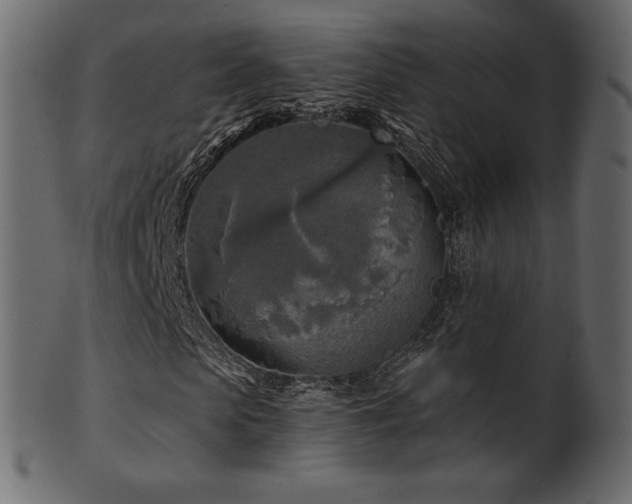 X0000102020913200807181322
