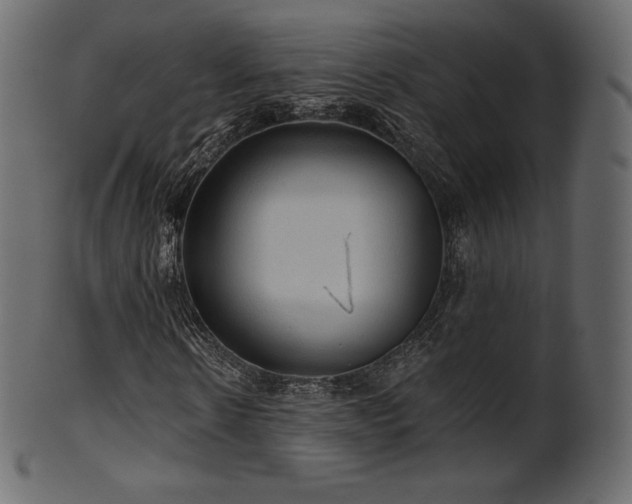 X0000102020914200807181322