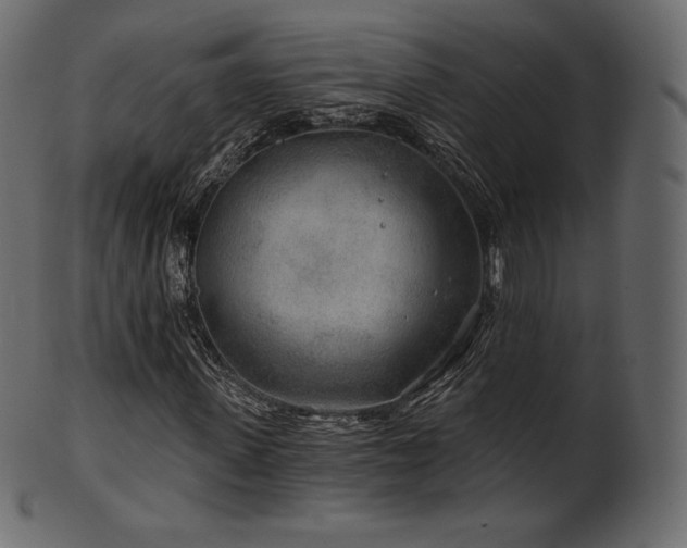 X0000102020915200807181322