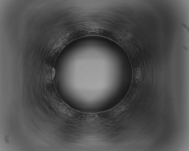 X0000102020916200807181322