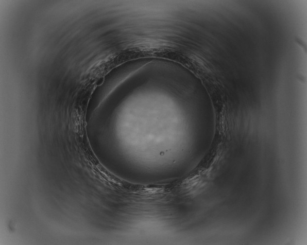 X0000102020917200807181322
