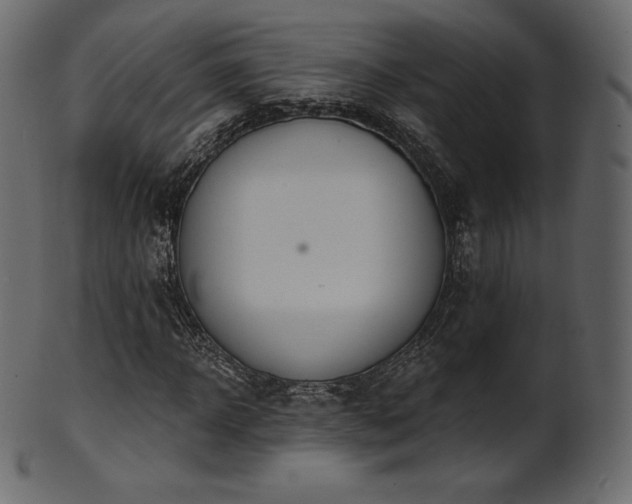 X0000102020918200807181322