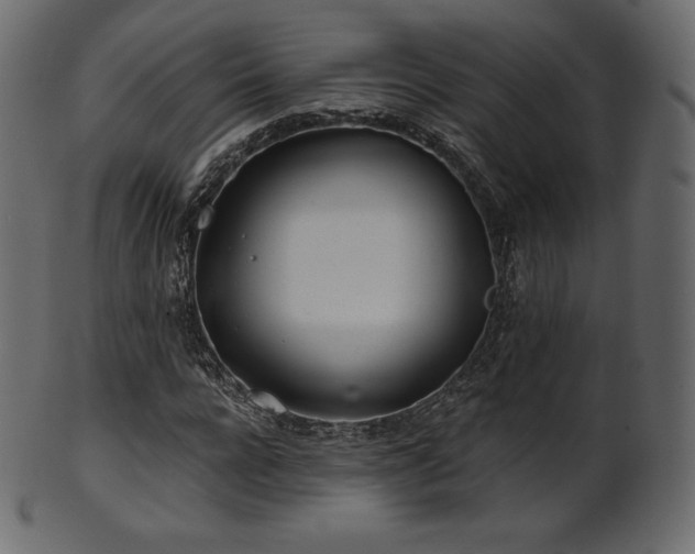 X0000102020920200807181322