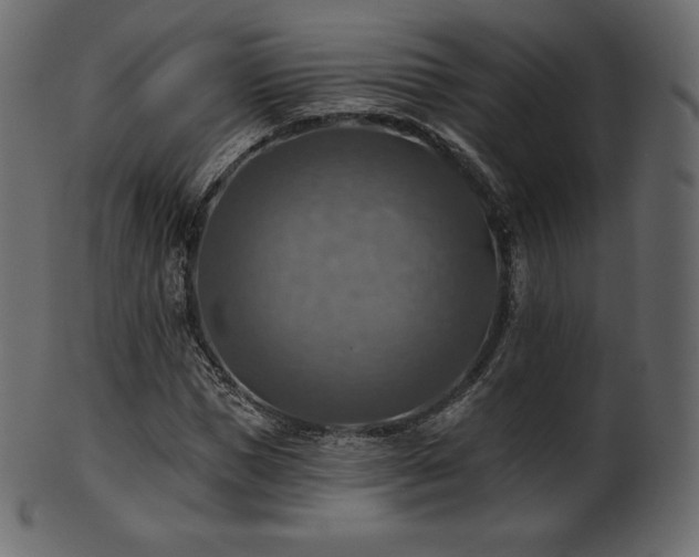 X0000102020921200807181322