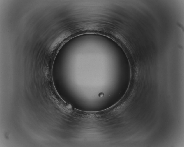 X0000102020922200807181322