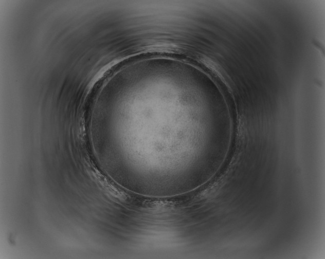 X0000102020923200807181322