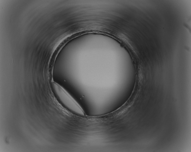 X0000102020924200807181322