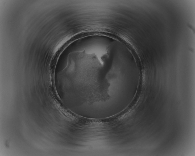 X0000102020925200807181323