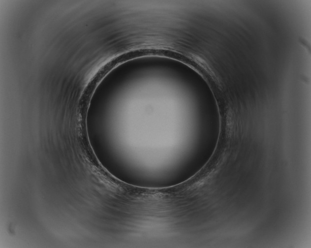X0000102020926200807181323