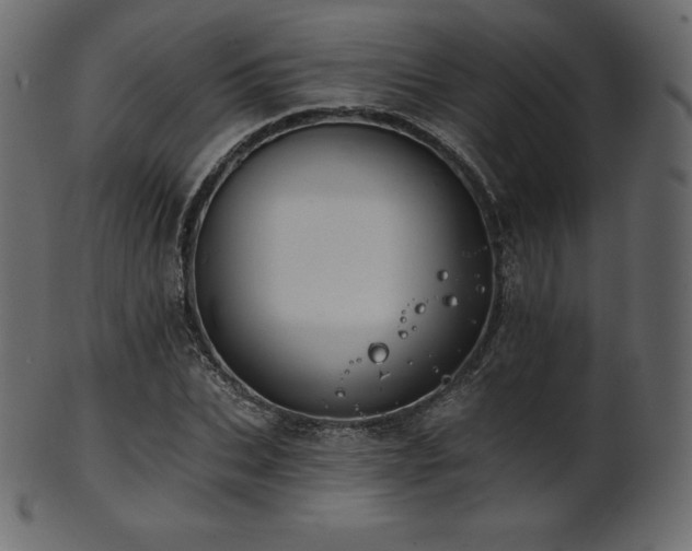 X0000102020927200807181323