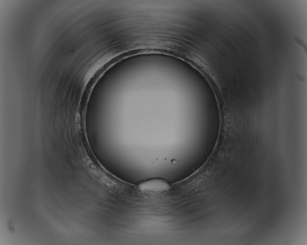 X0000102020928200807181323