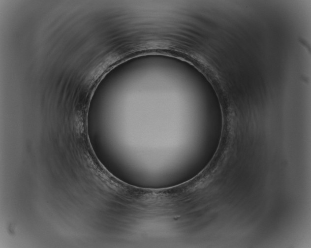 X0000102020929200807181323