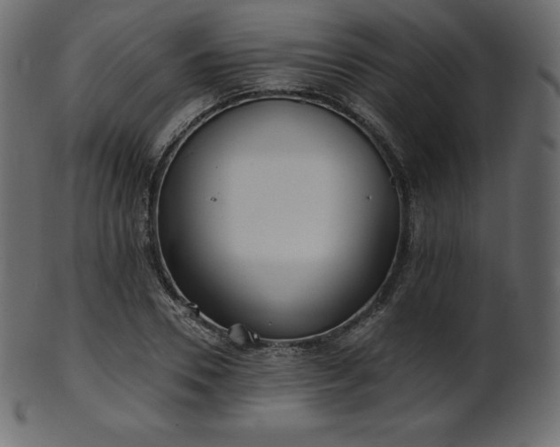 X0000102020930200807181323