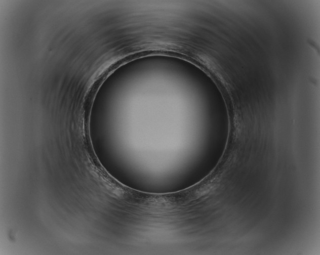 X0000102020931200807181323