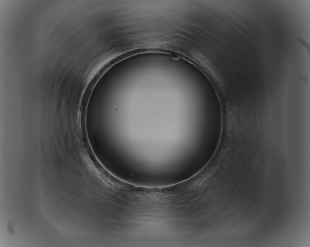 X0000102020932200807181323