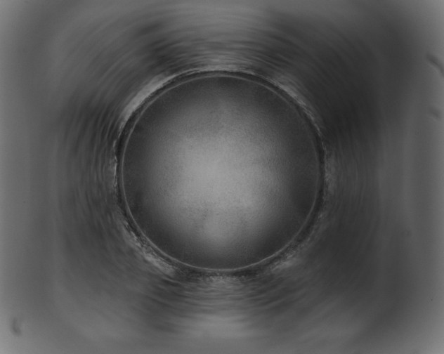 X0000102020933200807181323