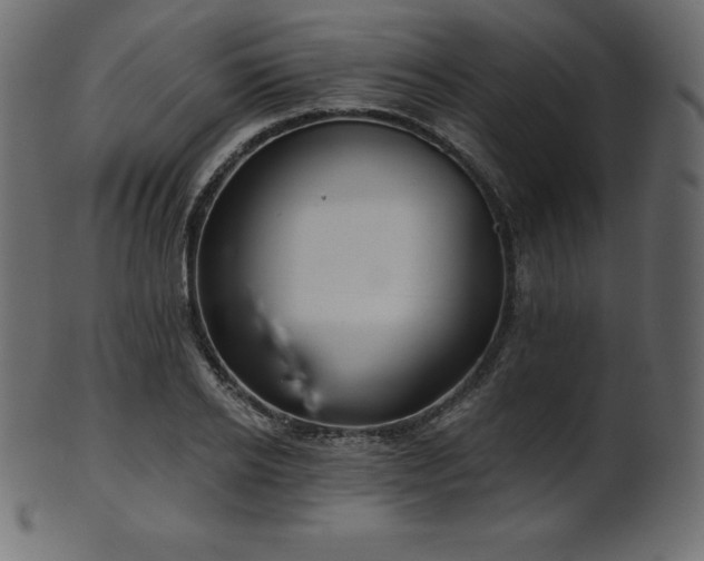 X0000102020934200807181323