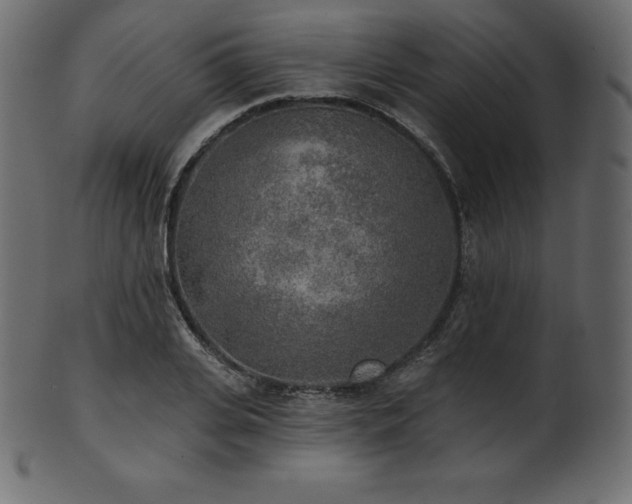 X0000102020935200807181323