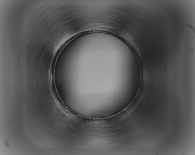 X0000102020936200807181323