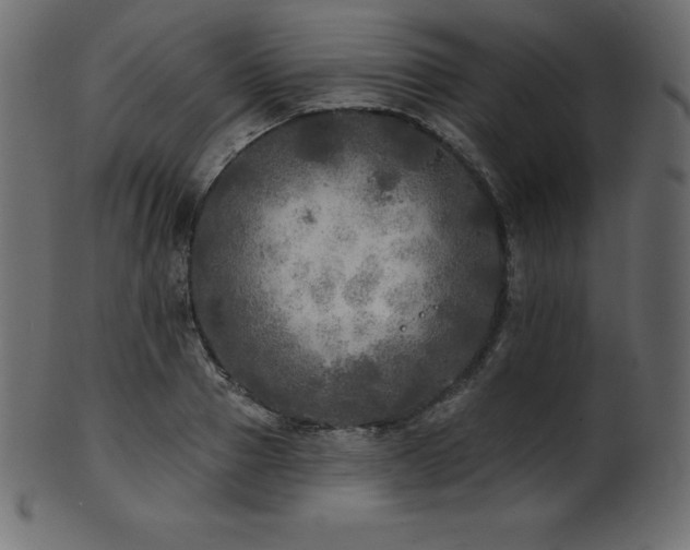 X0000102020937200807181323