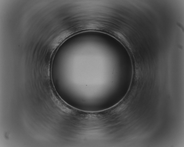 X0000102020938200807181323