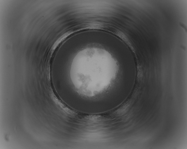 X0000102020939200807181323