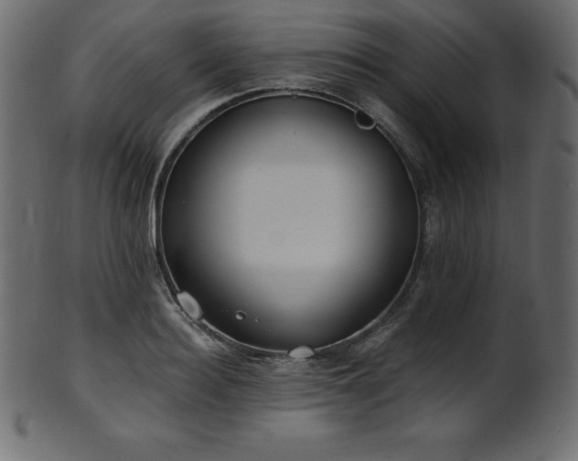 X0000102020940200807181323