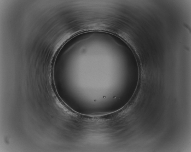 X0000102020941200807181323