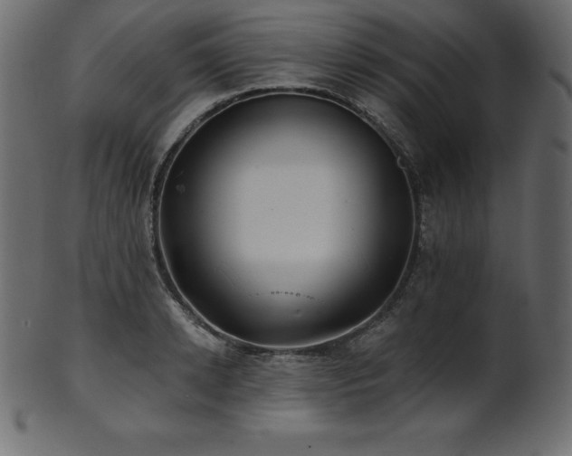 X0000102020942200807181323