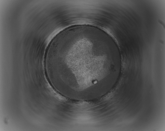 X0000102020943200807181323