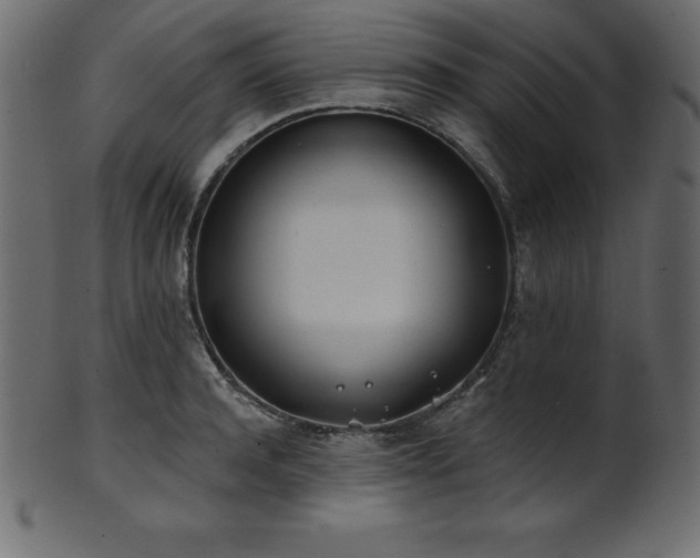 X0000102020944200807181323