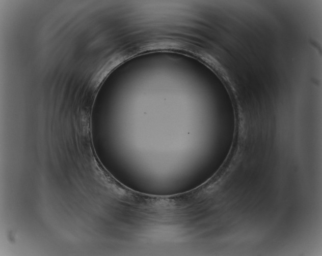 X0000102020945200807181323