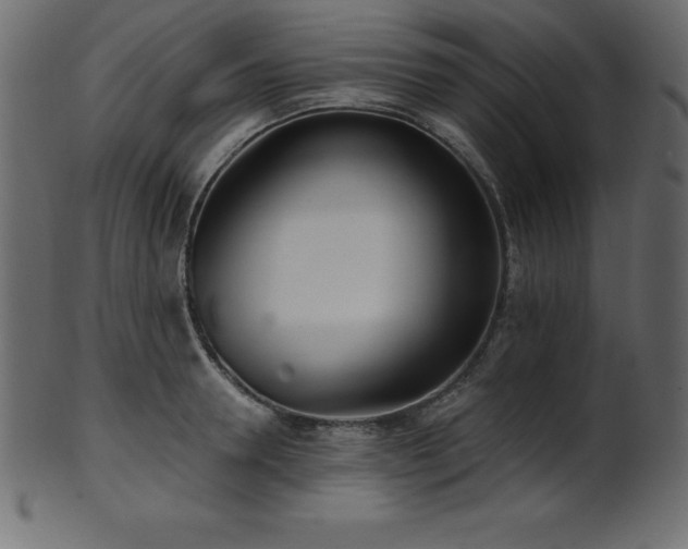 X0000102020946200807181323