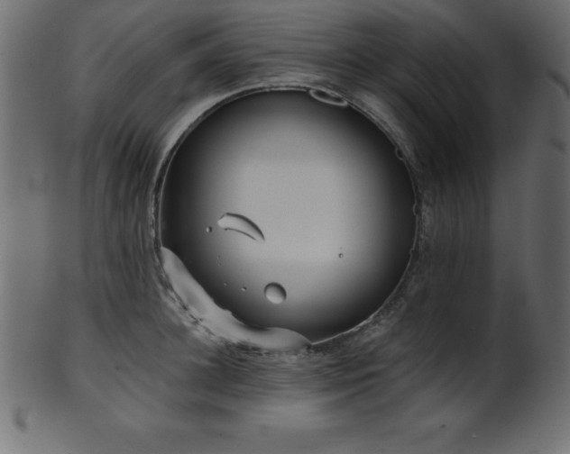 X0000102020948200807181323