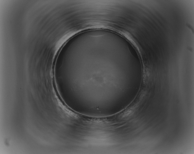 X0000102020951200807181323