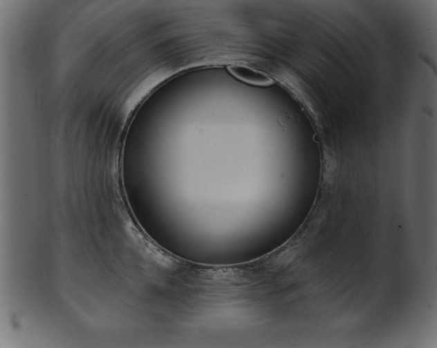 X0000102020952200807181323