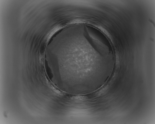X0000102020953200807181323