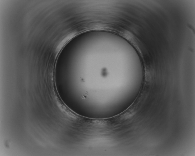 X0000102020954200807181323
