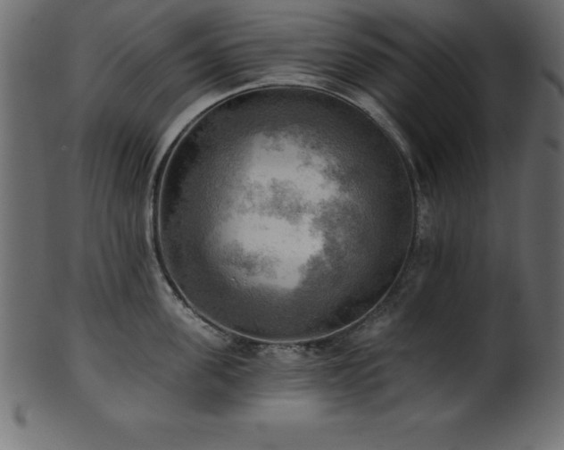 X0000102020955200807181323