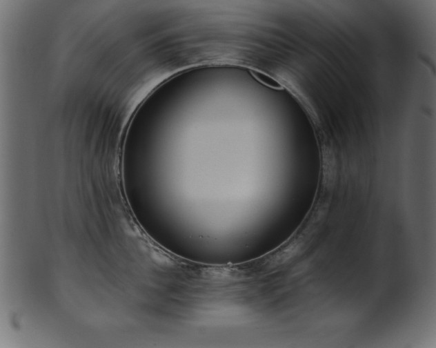 X0000102020956200807181323