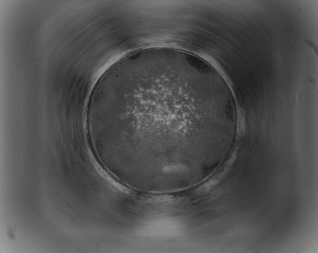X0000102020957200807181323