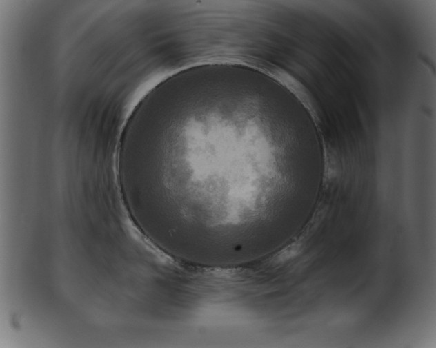 X0000102020958200807181323