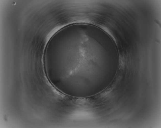 X0000102020959200807181323
