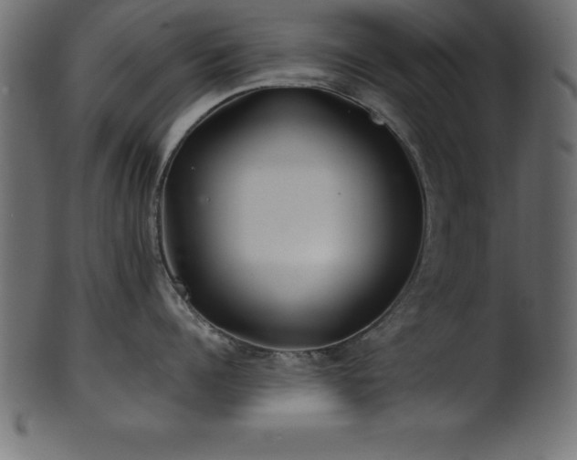 X0000102020960200807181323