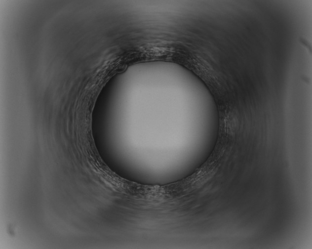 X0000102020961200807181322