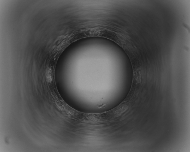 X0000102020962200807181322