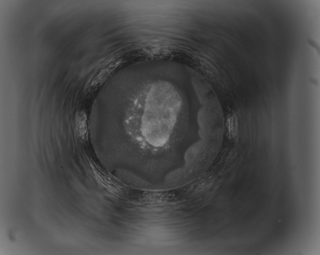 X0000102020963200807181322
