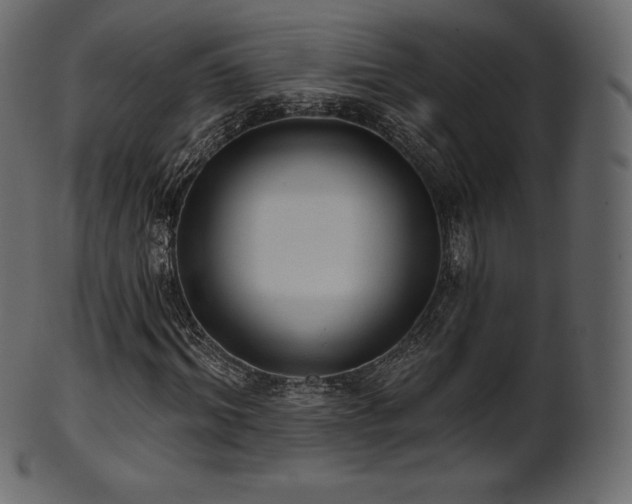 X0000102020964200807181322