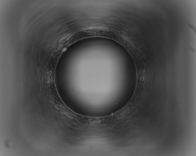 X0000102020965200807181322